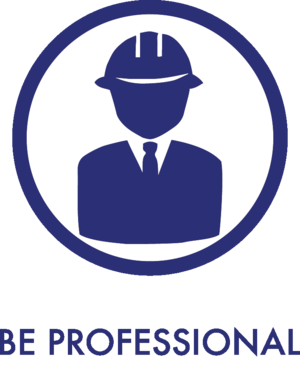 Be Professional Blue.png