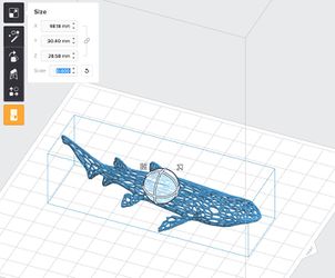 Model shrunk using scaling tool.jpg