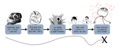 Thumbnail for version as of 19:08, 6 January 2022