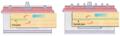 Thumbnail for version as of 13:20, 7 March 2022