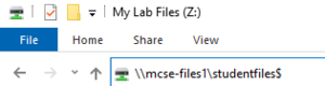 Mcsefiles1.png